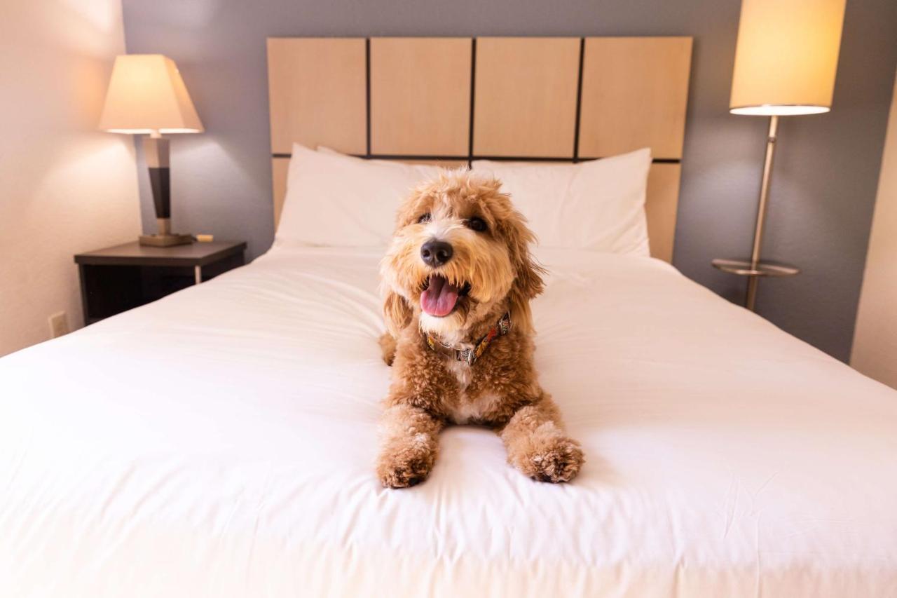 Sonesta Simply Suites Huntsville Research Park Zewnętrze zdjęcie